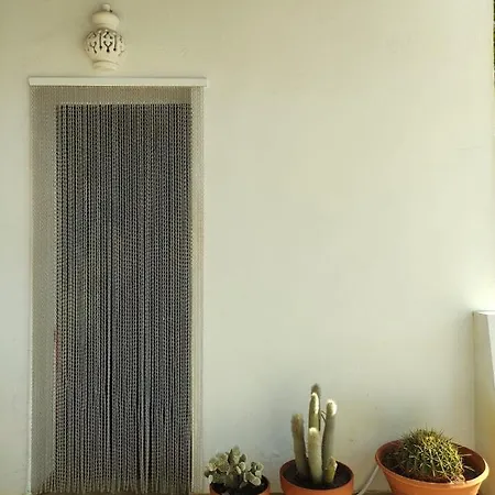 Traditional Rural House - Algarve Tatil Evi *