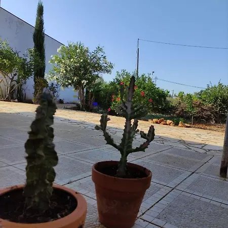 Traditional Rural House - Algarve Vakantiehuis Silves