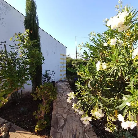 Traditional Rural House - Algarve بيت للعطل سيلفيس